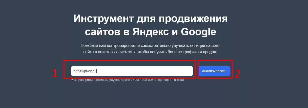 Поле проверки домена в сервисе PR-CY